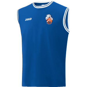 MAILLOT JAKO NBA royal enfant