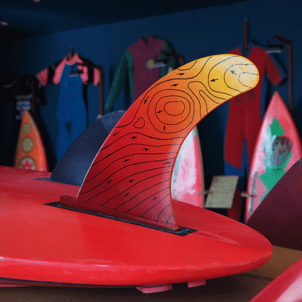 DÉRIVES LONGBOARD RECYCLÉES – Image 3