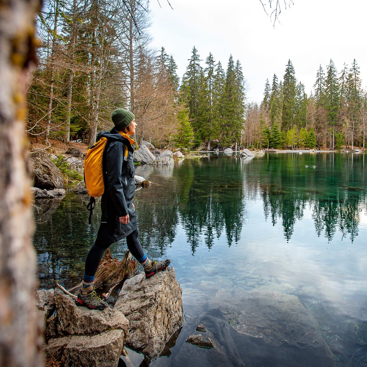 Veste 3/4 tous temps GRAND TETRAS Femme – Image 6