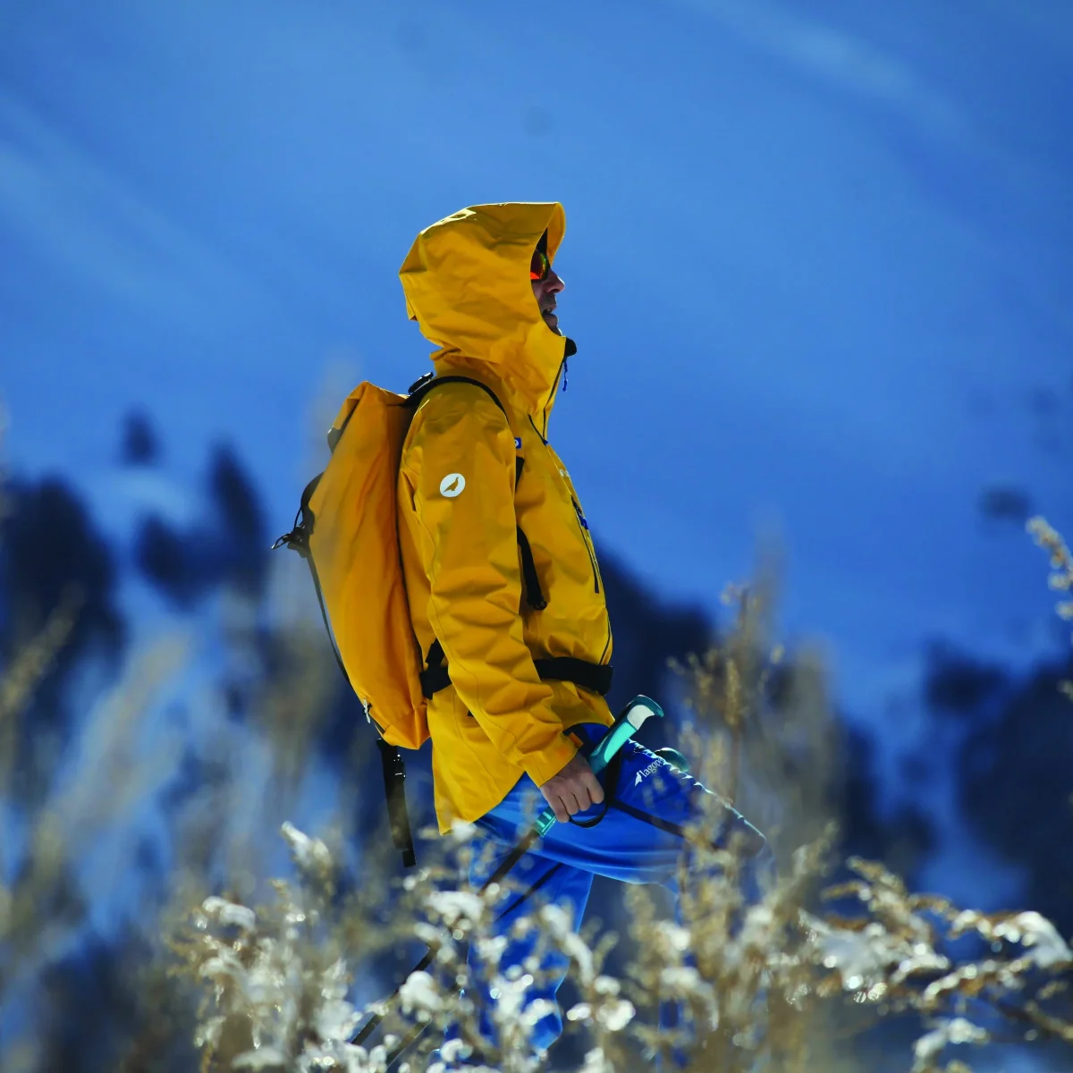 Veste montagne EVE2 Homme – Image 9