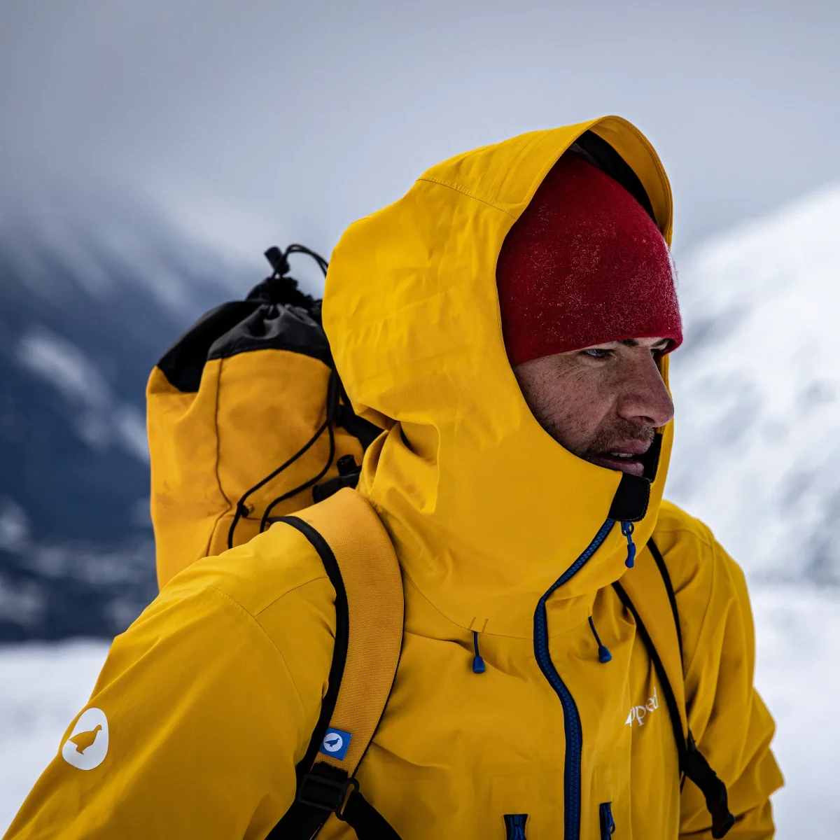 Veste montagne EVE2 Homme