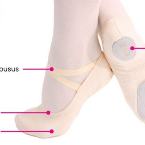 Soelie.png Merlet 1/2 pointe Soélie