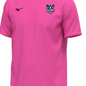 TEERO-ok.png TEESHIRT TRAINING TEE HOMME MIZUNO ROSE