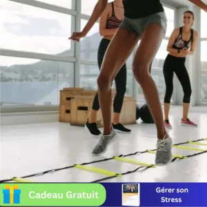 échelle d'agilité | AgilityTraining™