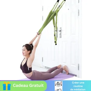 hamac-de-yoga.pngv1744550436 hamac de Yoga | AirYoga™