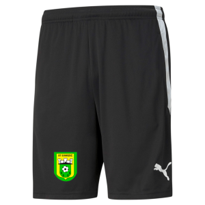 TeamLIGA Training Shorts Homme