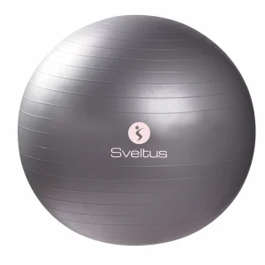 Gymball gris 65cm
