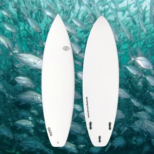 CARANGUE - Shortboard perf